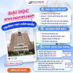 trường đại học kyungsung